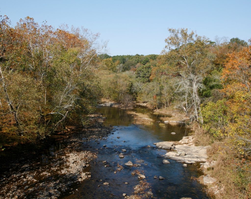 Eno Zoom Backgrounds - Eno River Association