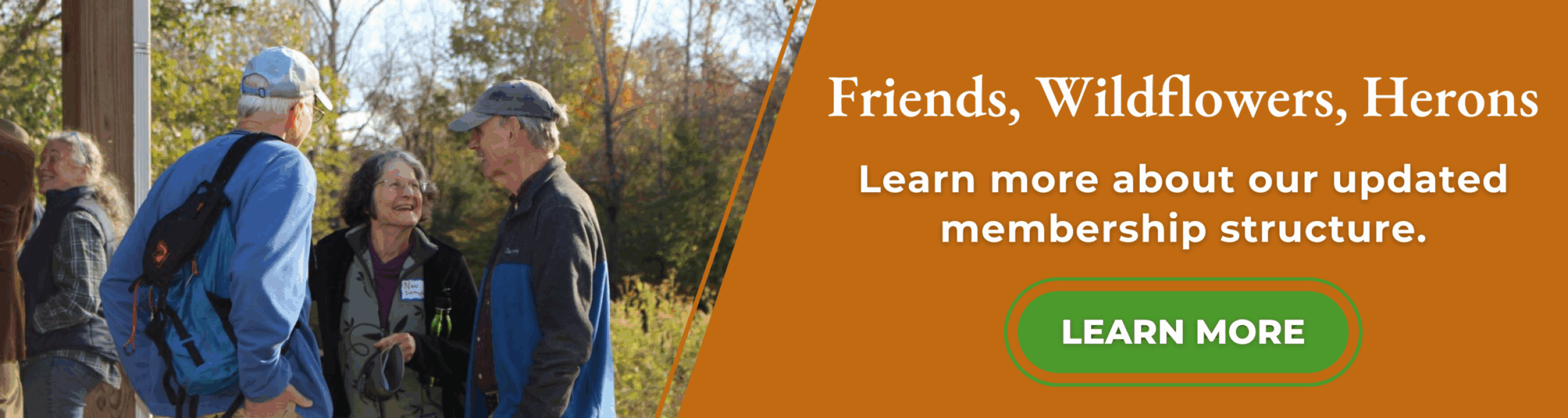 Website Slider Template (1)