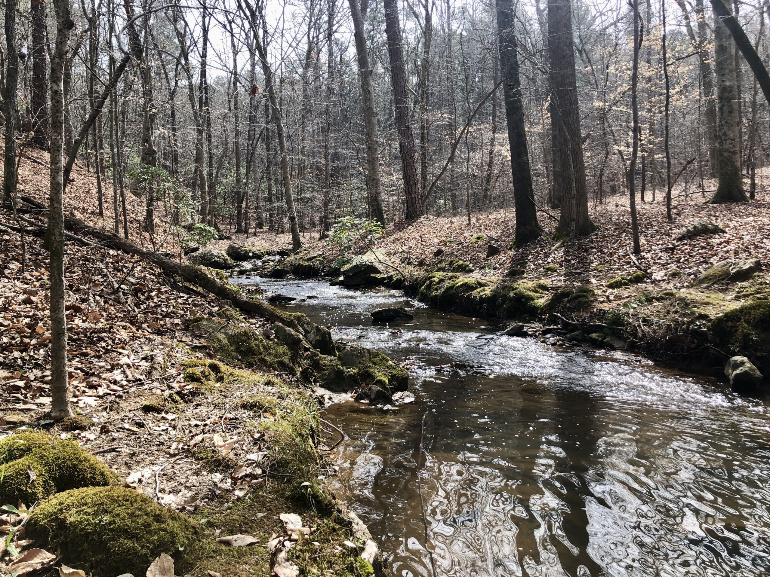 Eno River Association expands Occoneechee Mountain State Natural Area
