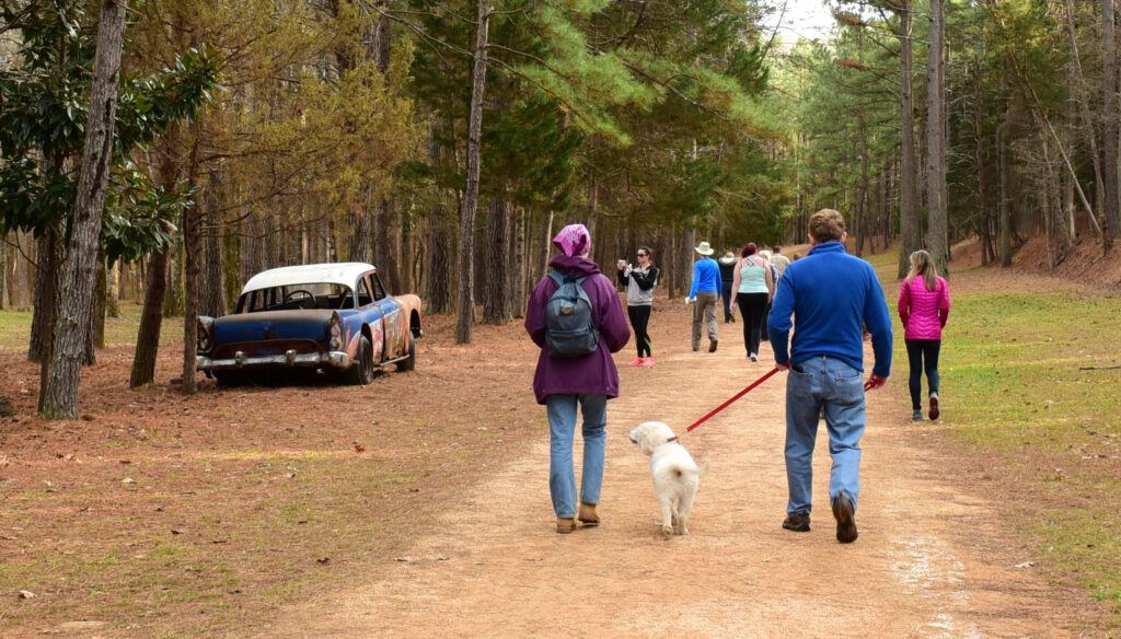 A group of hikers - including a man, a woman, and a small white dog - walks along a wide, level dirt path, passing the shell of an old racing car to the left. Pine trees grow overhead.