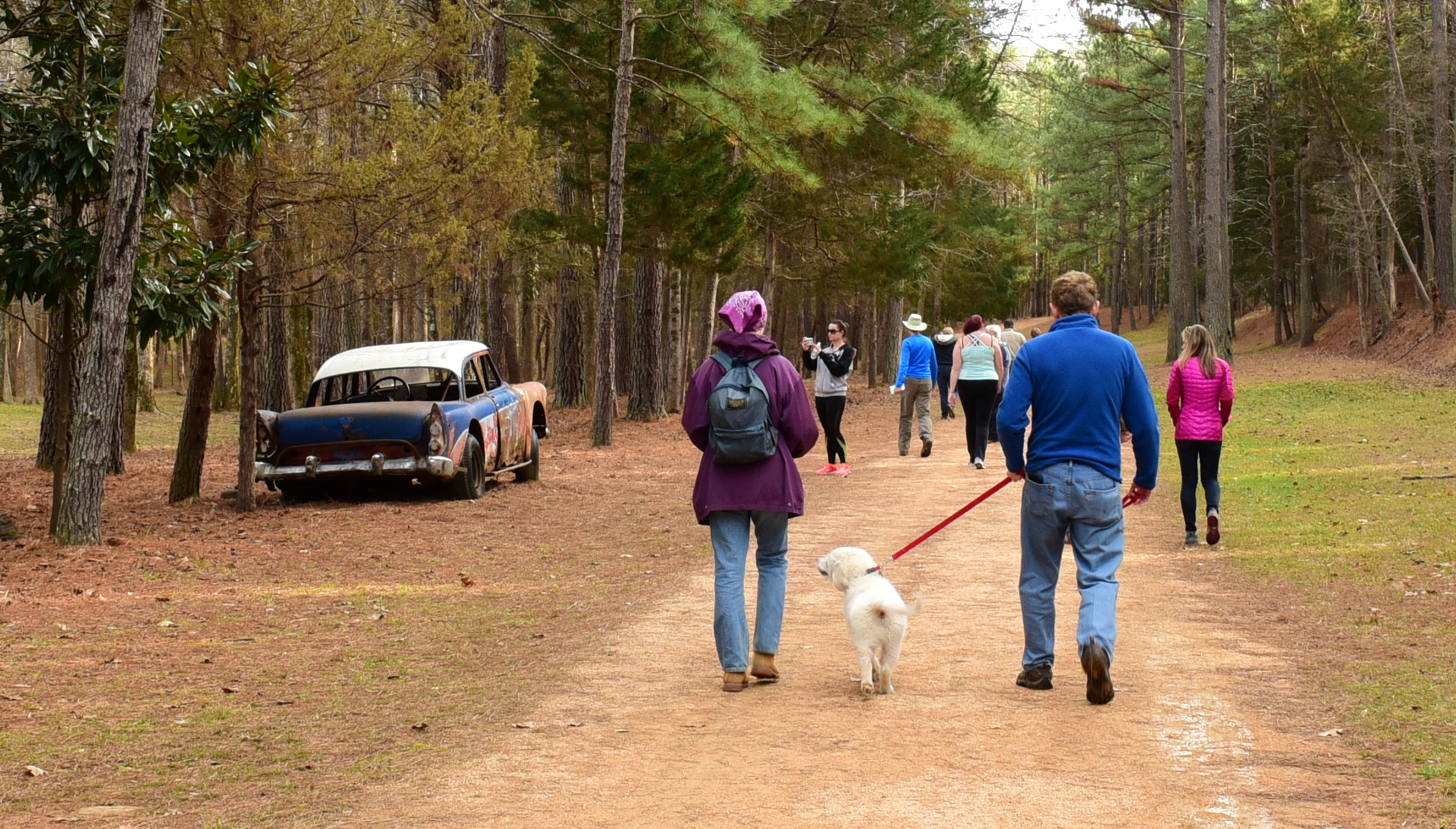 A group of hikers - including a man, a woman, and a small white dog - walks along a wide, level dirt path, passing the shell of an old racing car to the left. Pine trees grow overhead.