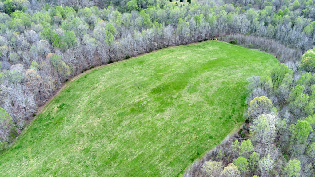 Aerial photo of a large green meadow bordered by forest in the early spring.