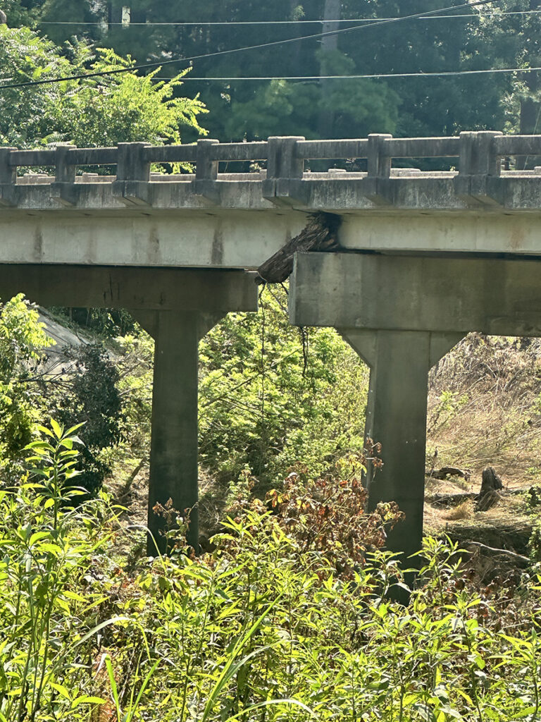 Clear evidence of extreme flooding can be seen in this log wedged against a bridge, high above normal river levels.
