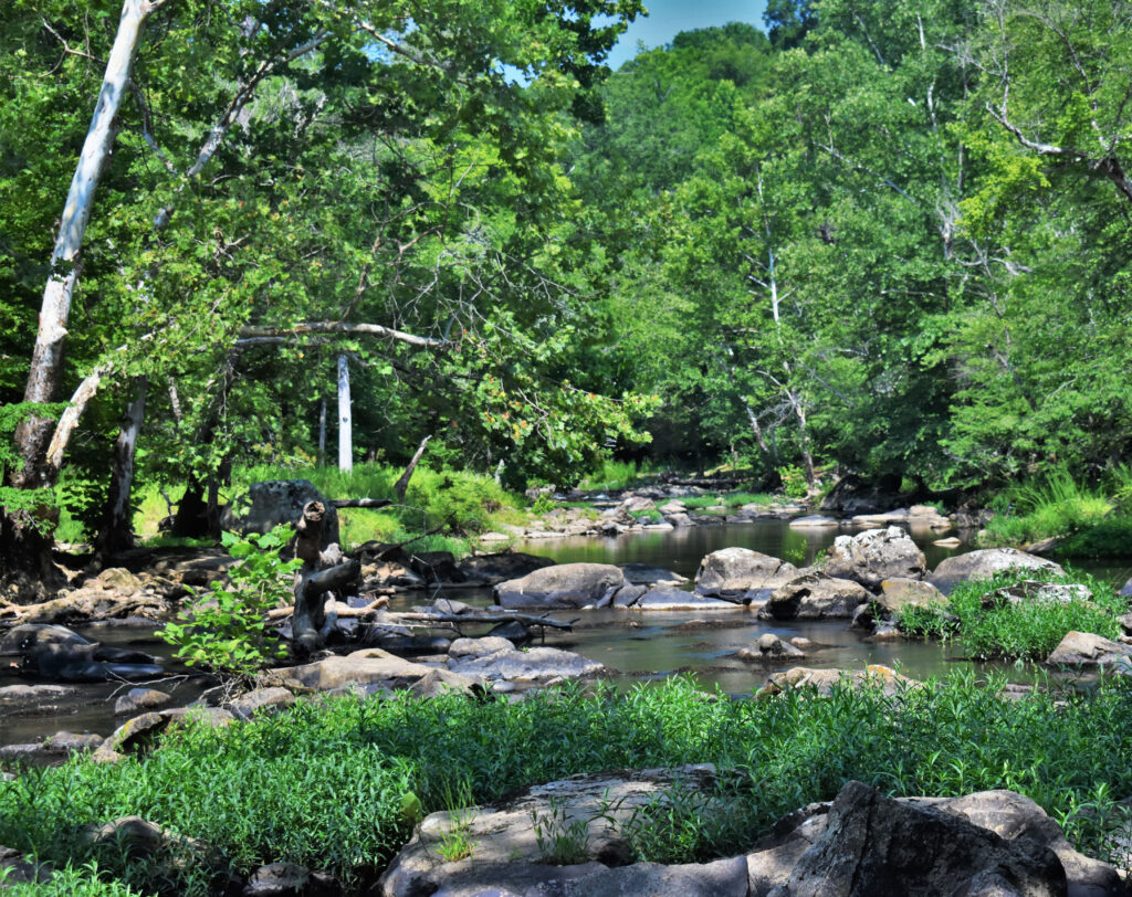 A cozy spot along the Eno River nestled between the trees growing on lands protected by the Eno River Association.