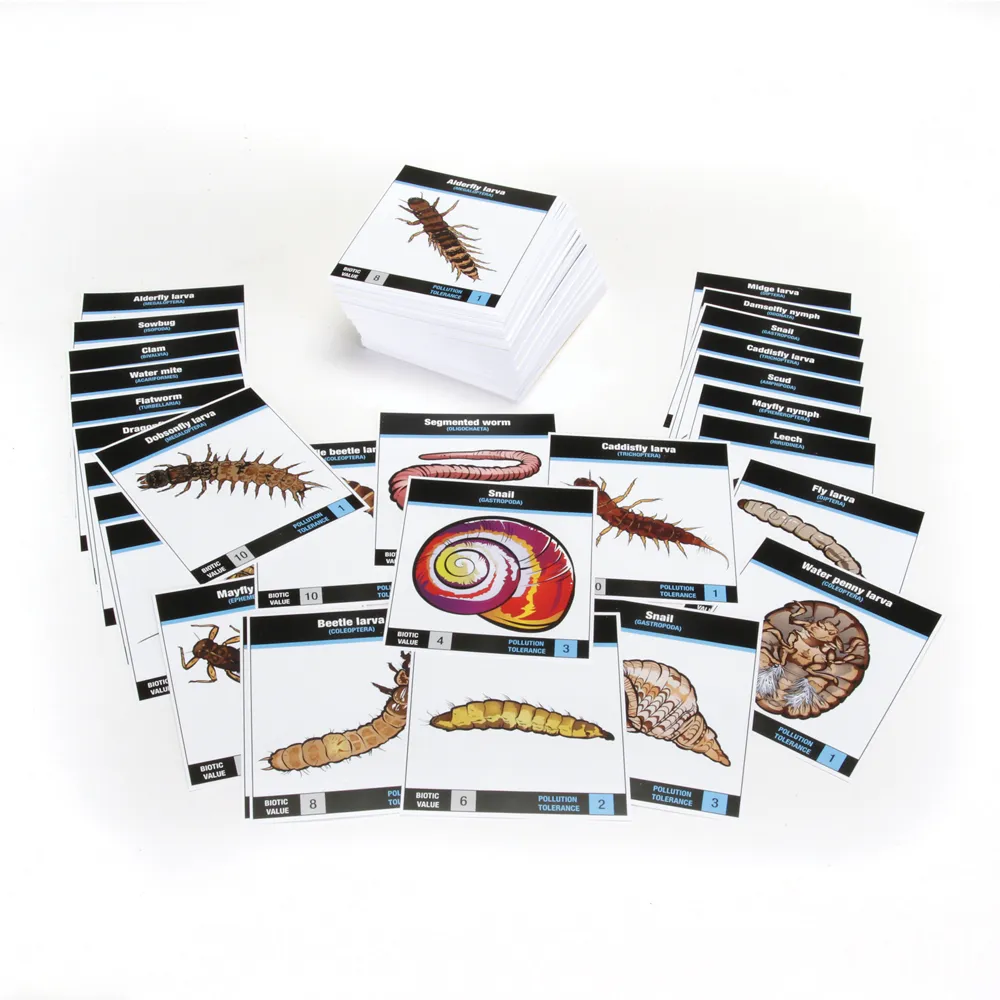 In-kind donation drive item image: Aquatic macroinvertebrate card set