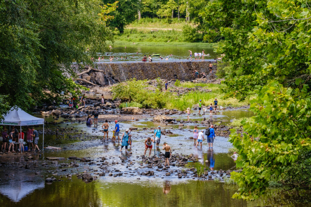 Festival goers enjoy playing in the flowing Eno River at the West Point on the Eno Park amid bright green foliage.