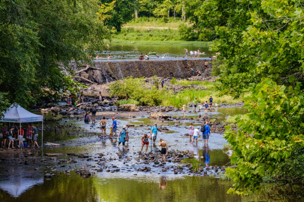 Festival goers enjoy playing in the flowing Eno River at the West Point on the Eno Park amid bright green foliage.