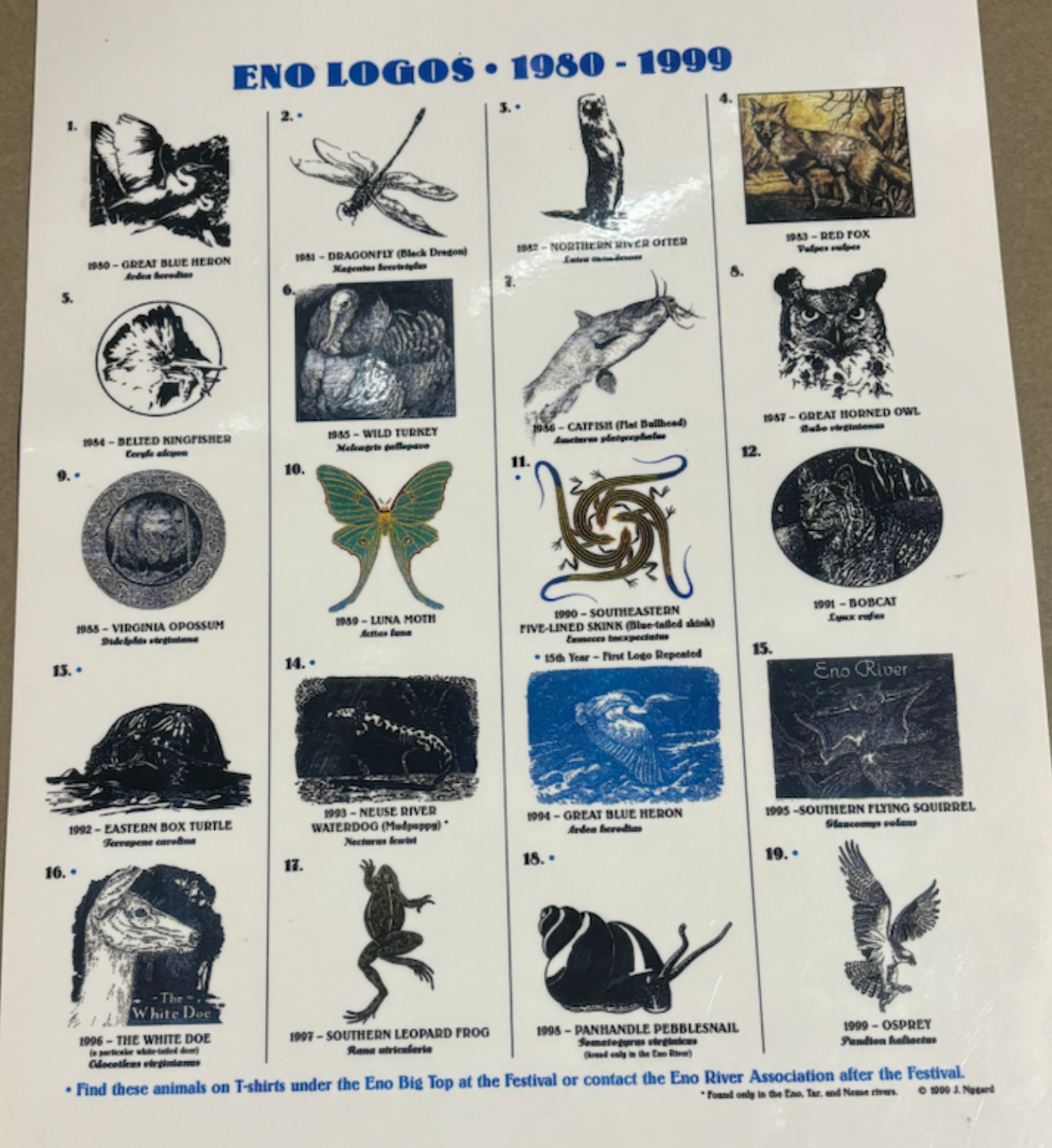 A chart containing the drawn logos of critters for each Festival for the Eno from 1980-1999 including the Great Blue Heron, Dragonfly, Northern River Otter, Red Fox, Belted Kingfisher, Wild Turkey, Catfish, Great Horned Owl, Virginia Opossum, Luna Moth, Southeastern Five-Lined Skink, Bobcat, Eastern Box Turtle, Neuse River Waterdog, Southern Flying Squirrel, White Doe, Southern Leopard Frog, Panhandle Pebblesnail, and Osprey.