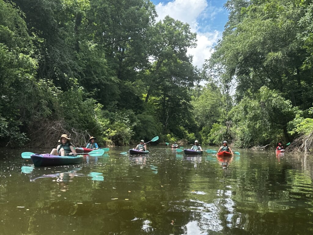 ERA Staff members paddle kayaks down the Eno River on a clear day with blue skies through green trees beneath Occoneechee Mountain.